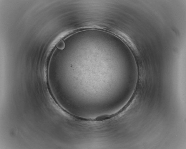 X0000113591188200909181325