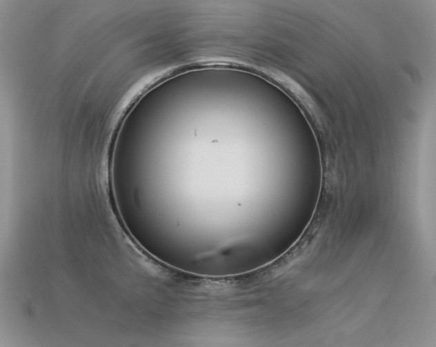 X0000113591191200909181325