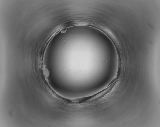 X0000113591193200909181325