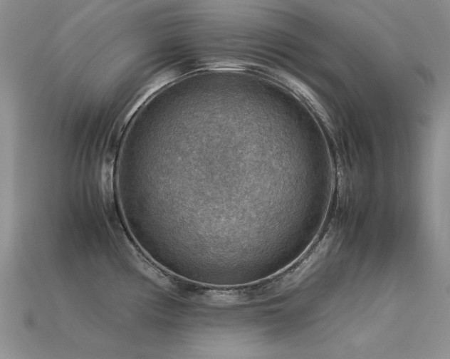 X0000113591194200909181325