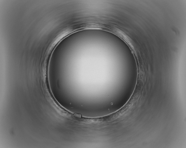 X0000113591195200909181325