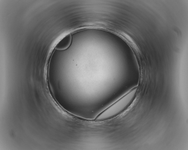 X0000113591196200909181325