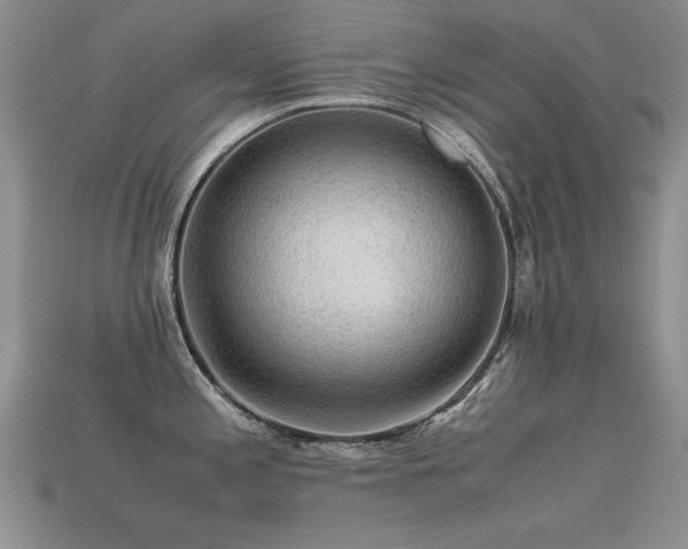 X0000113591197200909181325