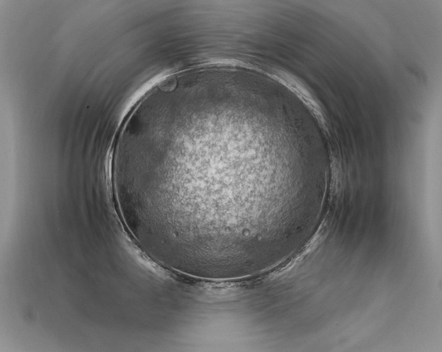 X0000113591198200909181325