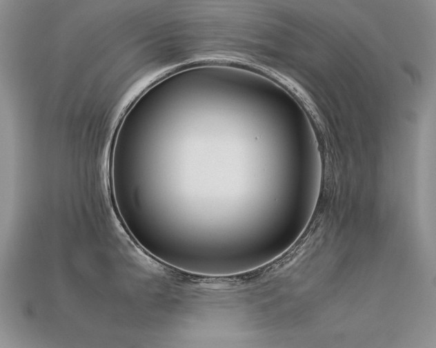 X0000113591199200909181325