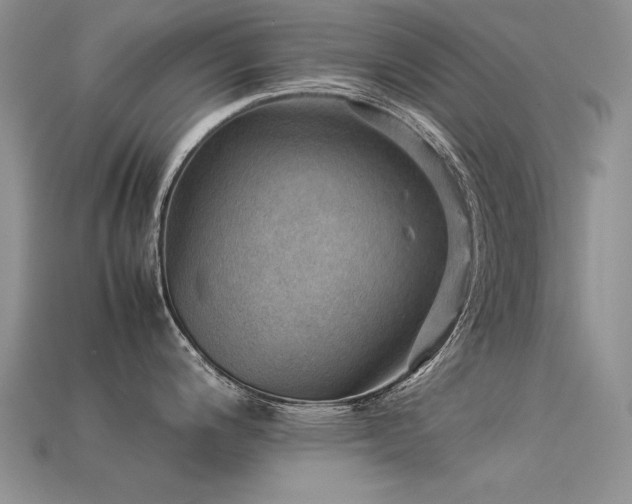 X0000113591200200909181325