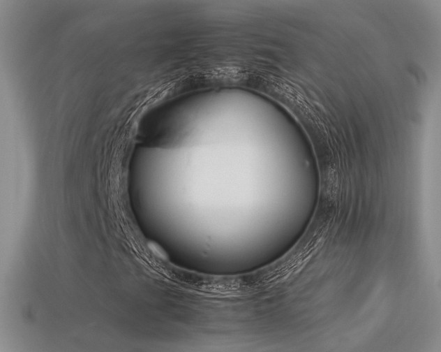 X0000113591201200909181324