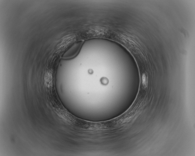 X0000113591203200909181324