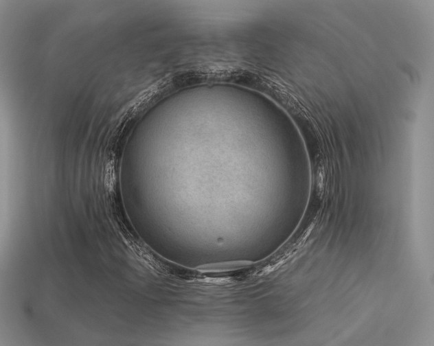 X0000113591204200909181324