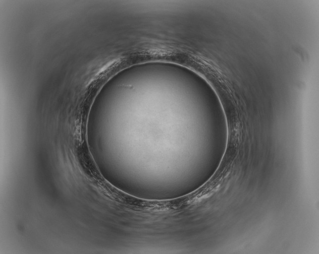 X0000113591205200909181324