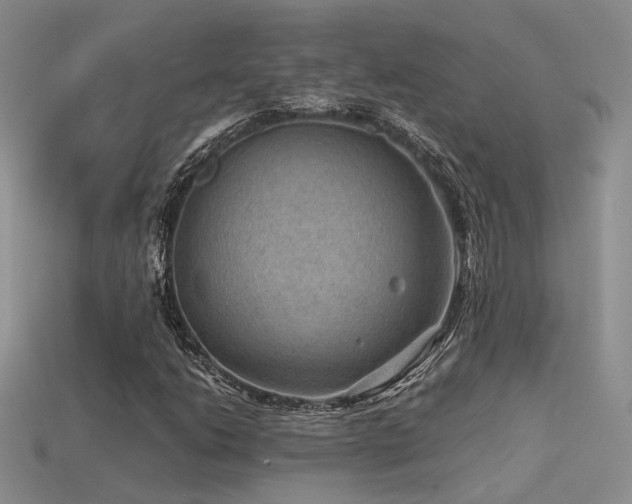 X0000113591206200909181324