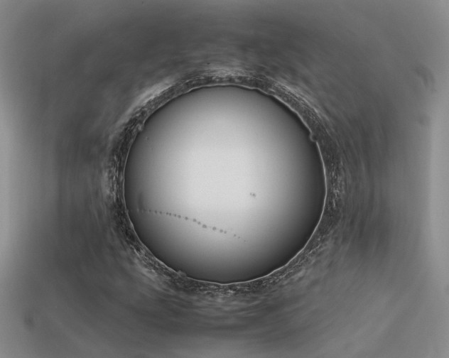 X0000113591207200909181324