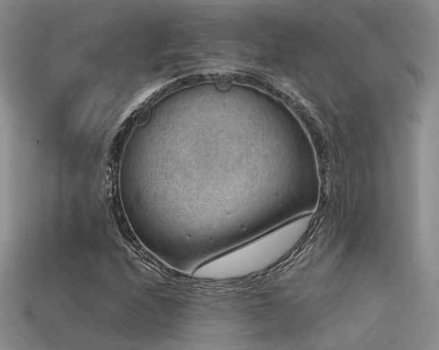 X0000113591208200909181324