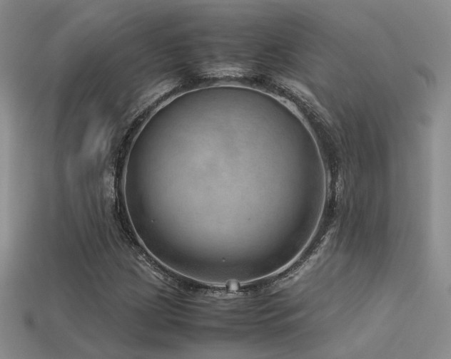 X0000113591209200909181324