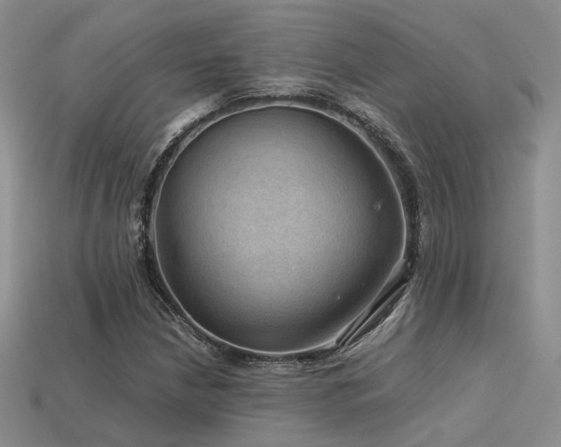 X0000113591210200909181324