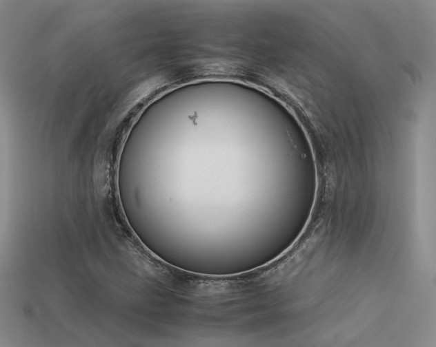 X0000113591211200909181324