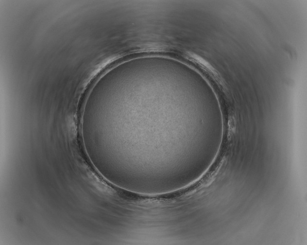 X0000113591212200909181324