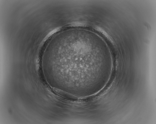 X0000113591213200909181324