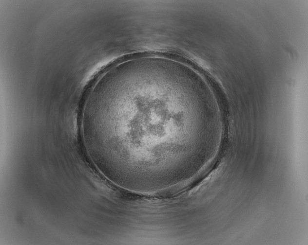 X0000113591214200909181324