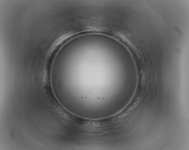 X0000113591215200909181324