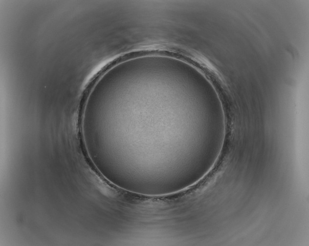 X0000113591216200909181324