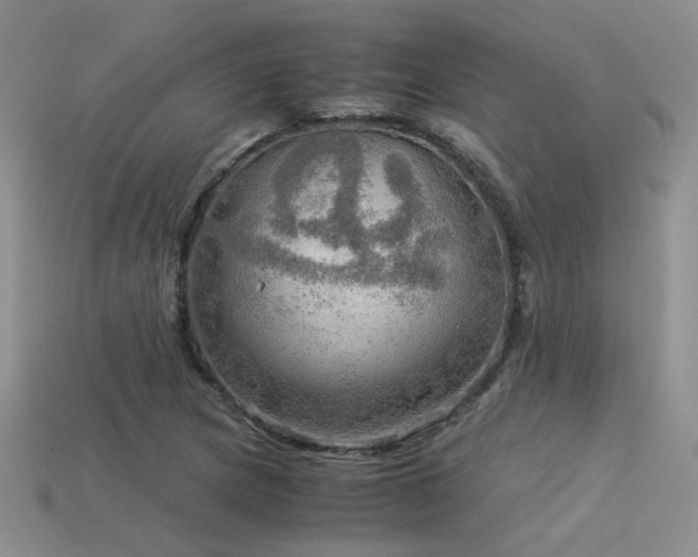 X0000113591217200909181324