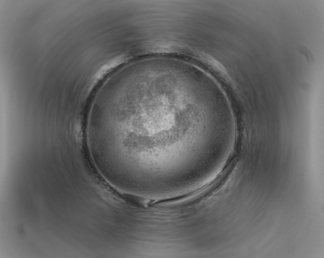 X0000113591218200909181324