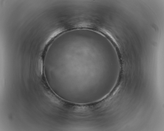 X0000113591219200909181324