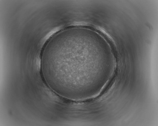 X0000113591221200909181324