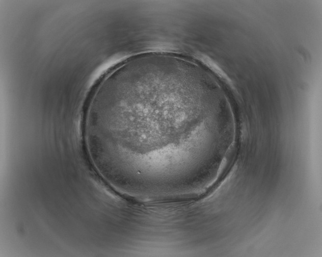 X0000113591222200909181324