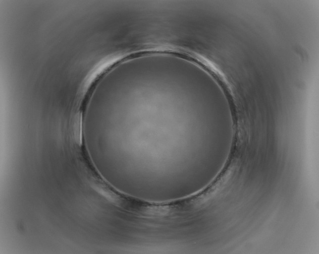 X0000113591223200909181324