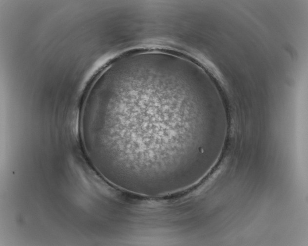 X0000113591224200909181324