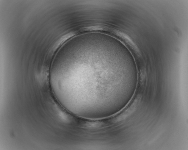 X0000113591225200909181324