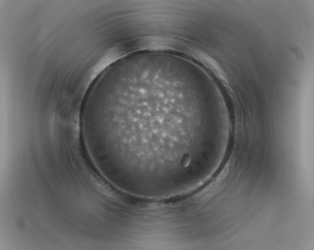 X0000113591226200909181324