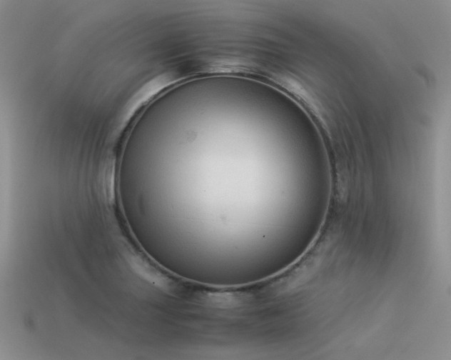 X0000113591227200909181324