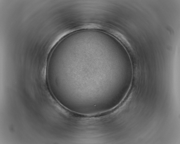 X0000113591228200909181325