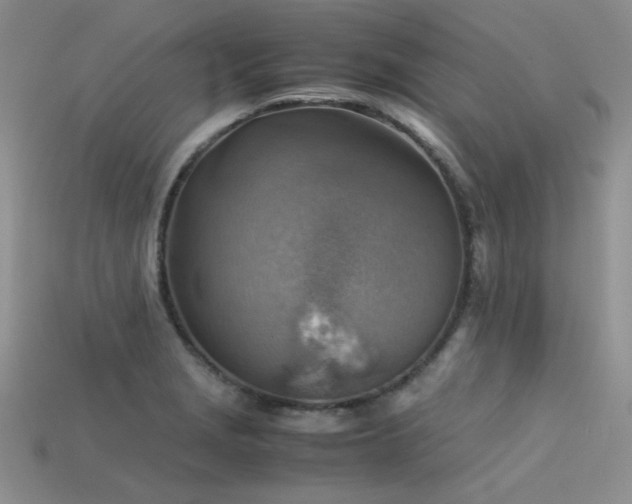 X0000113591229200909181325