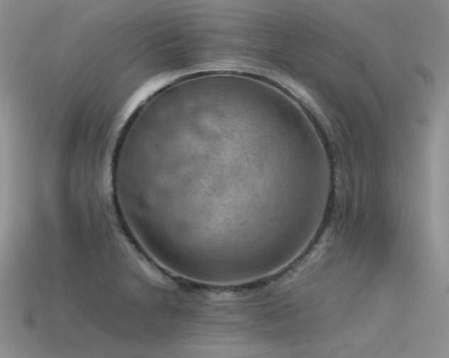 X0000113591230200909181325