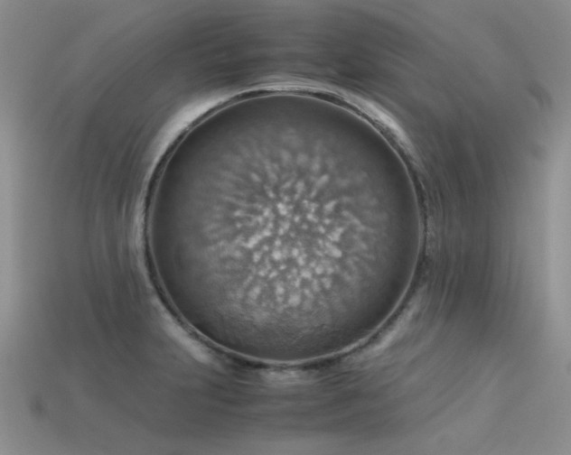 X0000113591231200909181325