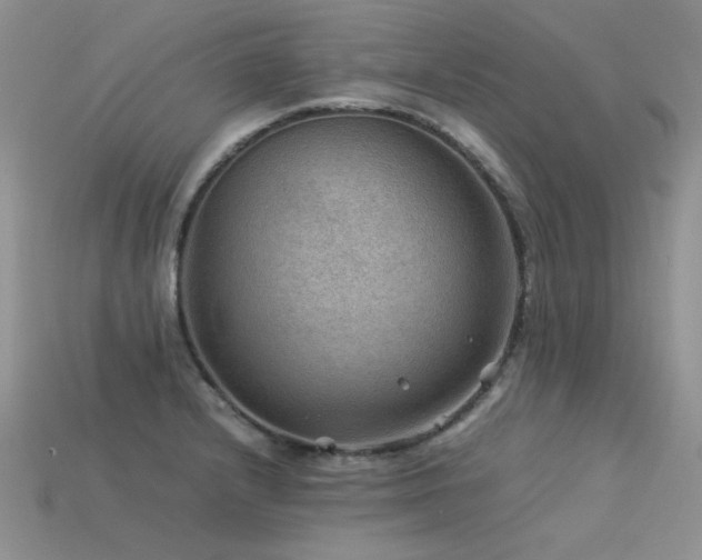 X0000113591232200909181325