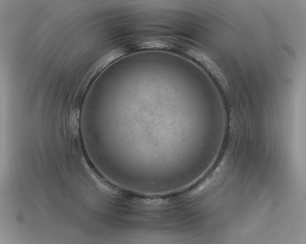 X0000113591233200909181325