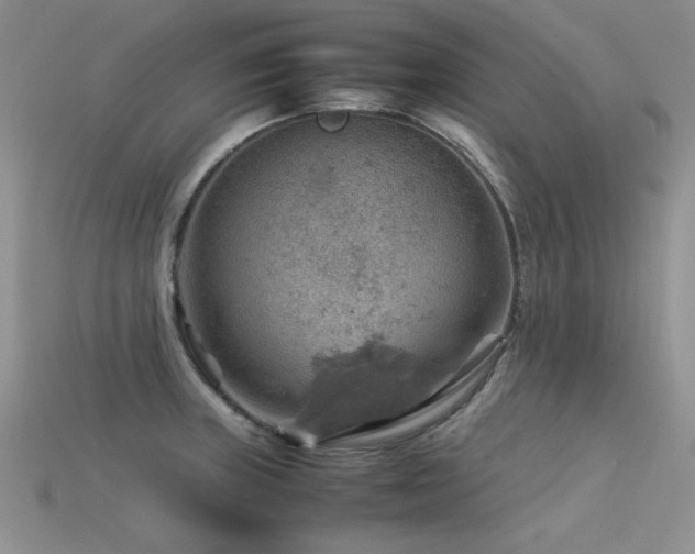 X0000113591235200909181325