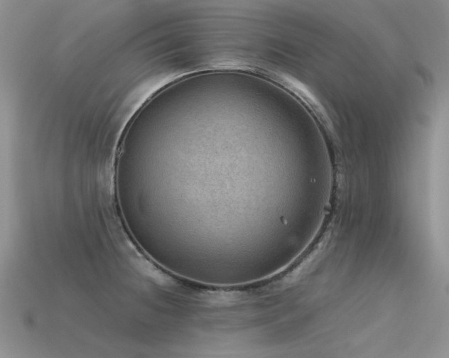 X0000113591236200909181325