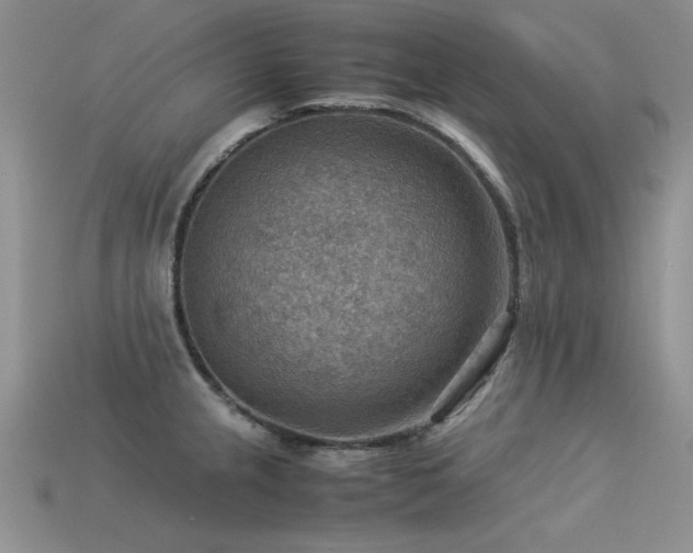 X0000113591237200909181325