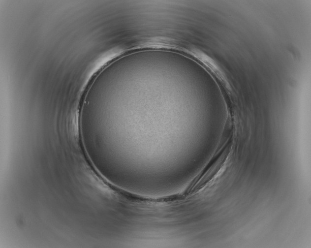 X0000113591238200909181325