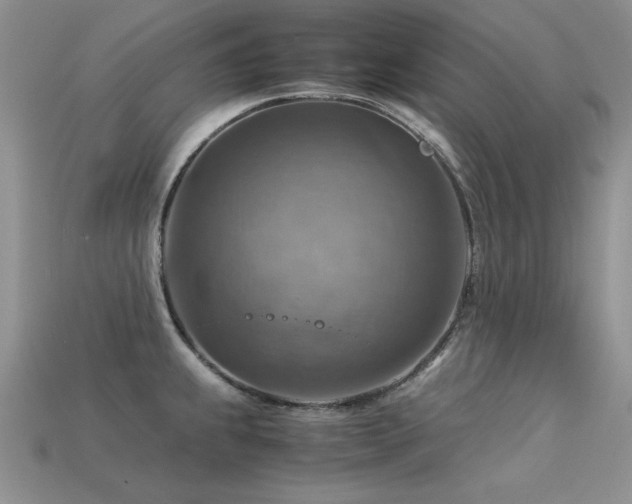 X0000113591239200909181325