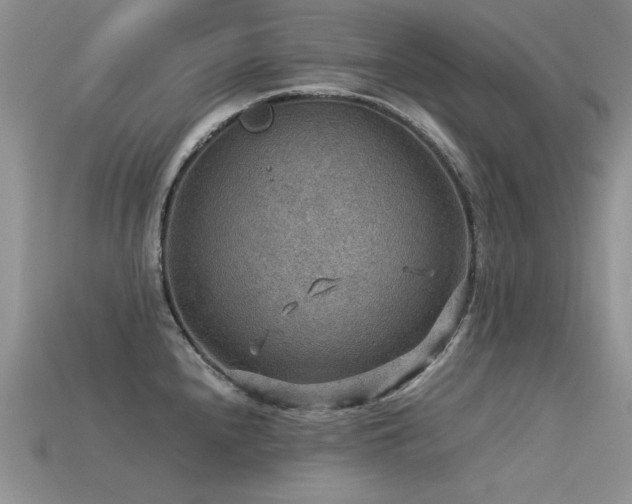 X0000113591240200909181325