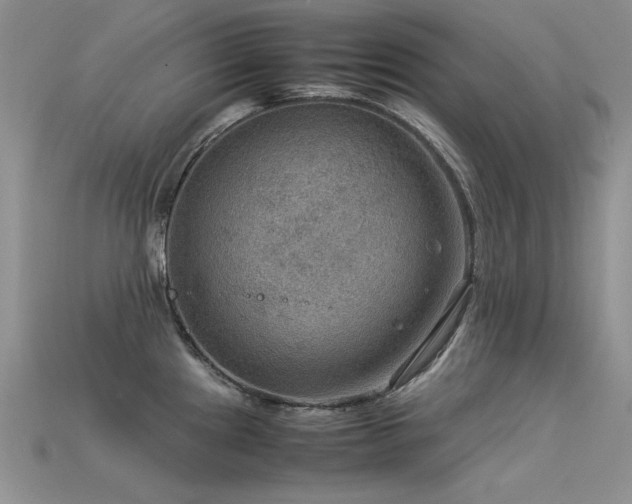 X0000113591241200909181325