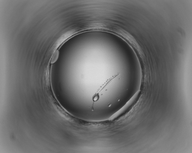 X0000113591242200909181325