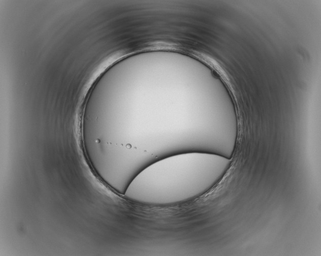 X0000113591243200909181325